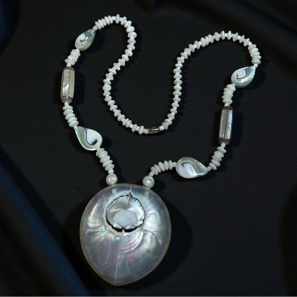Beautiful Ammonite Shell Necklace - Picture 5 of 5